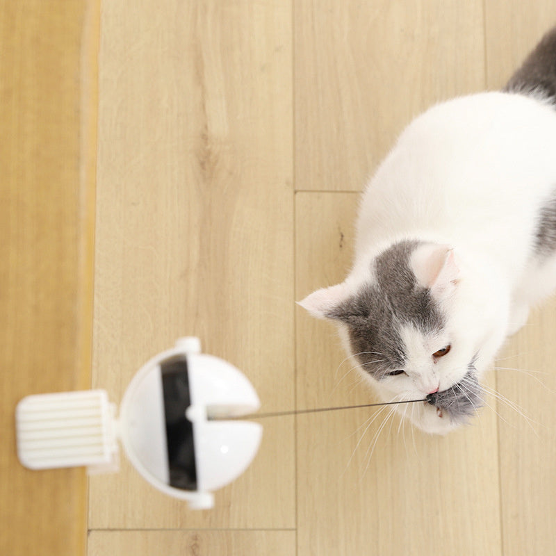 Electric Lifting Cat Ball Toy