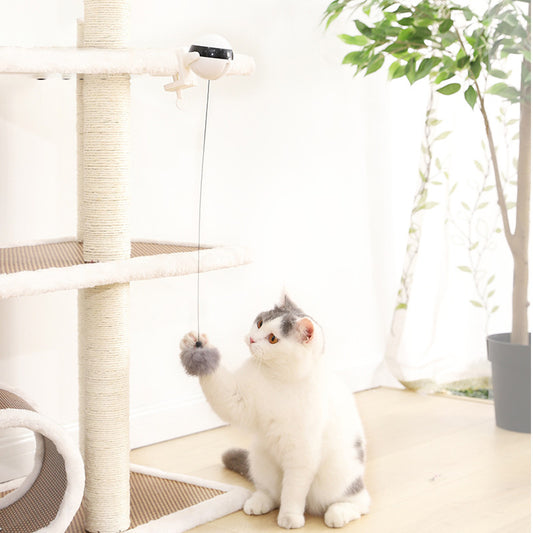 Electric Lifting Cat Ball Toy